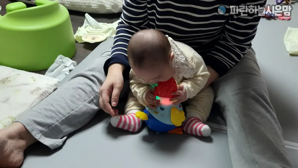 블루래빗 꼬꼬맘