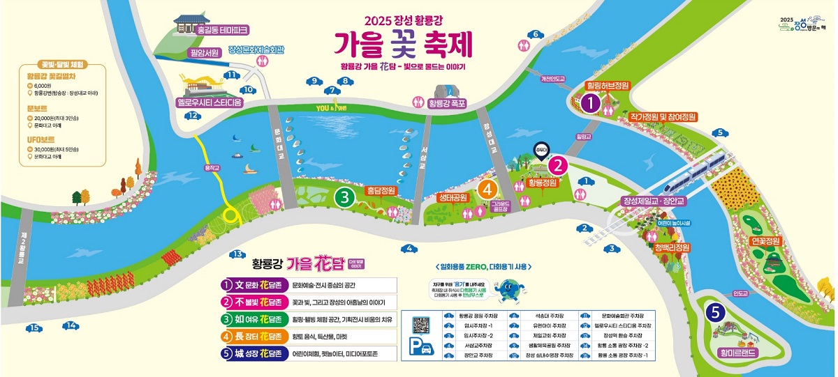 장성 황룡강 가을꽃 축제