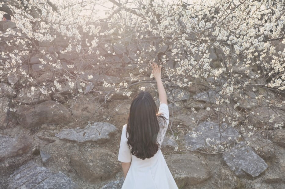 2024 전국 꽃축제