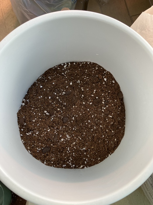 바크&middot;펄라이트&middot;상토가 섞인 배합토를 화분에 적당히 채우는 장면