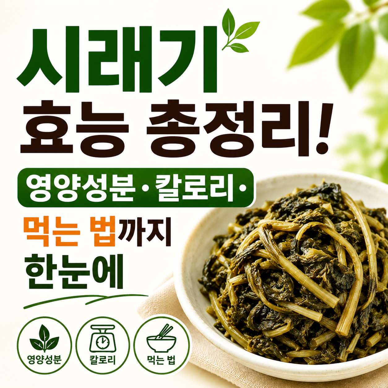 시래기 효능