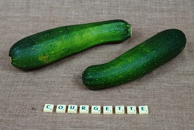 애호박 효능_9