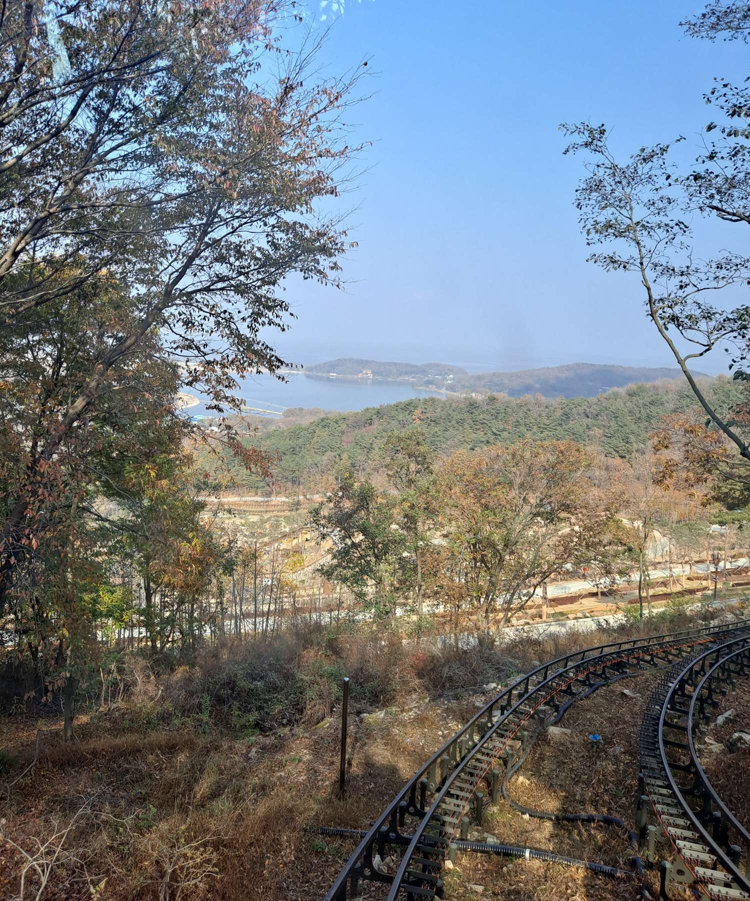 모노레일 숲길로 접어들다