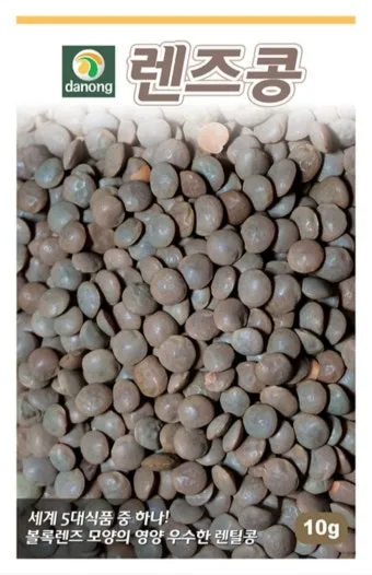 렌틸 재배 봄 파종 배수 확보 건조 수확_2