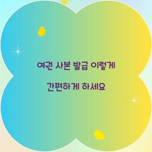 여권 사본 발급