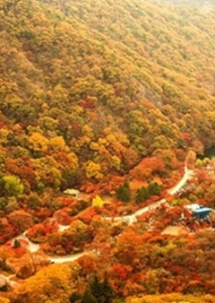 내장산국립공원케이블카