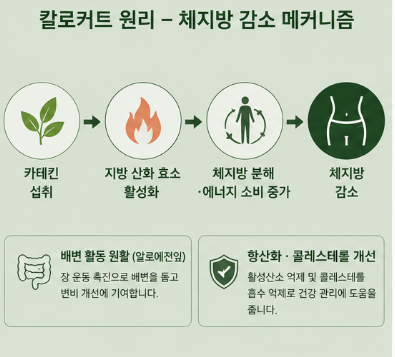 칼로커트-내돈내산-후기-성분-원리-효과-먹는법-가격