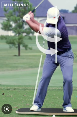 골프 밸런스 연습