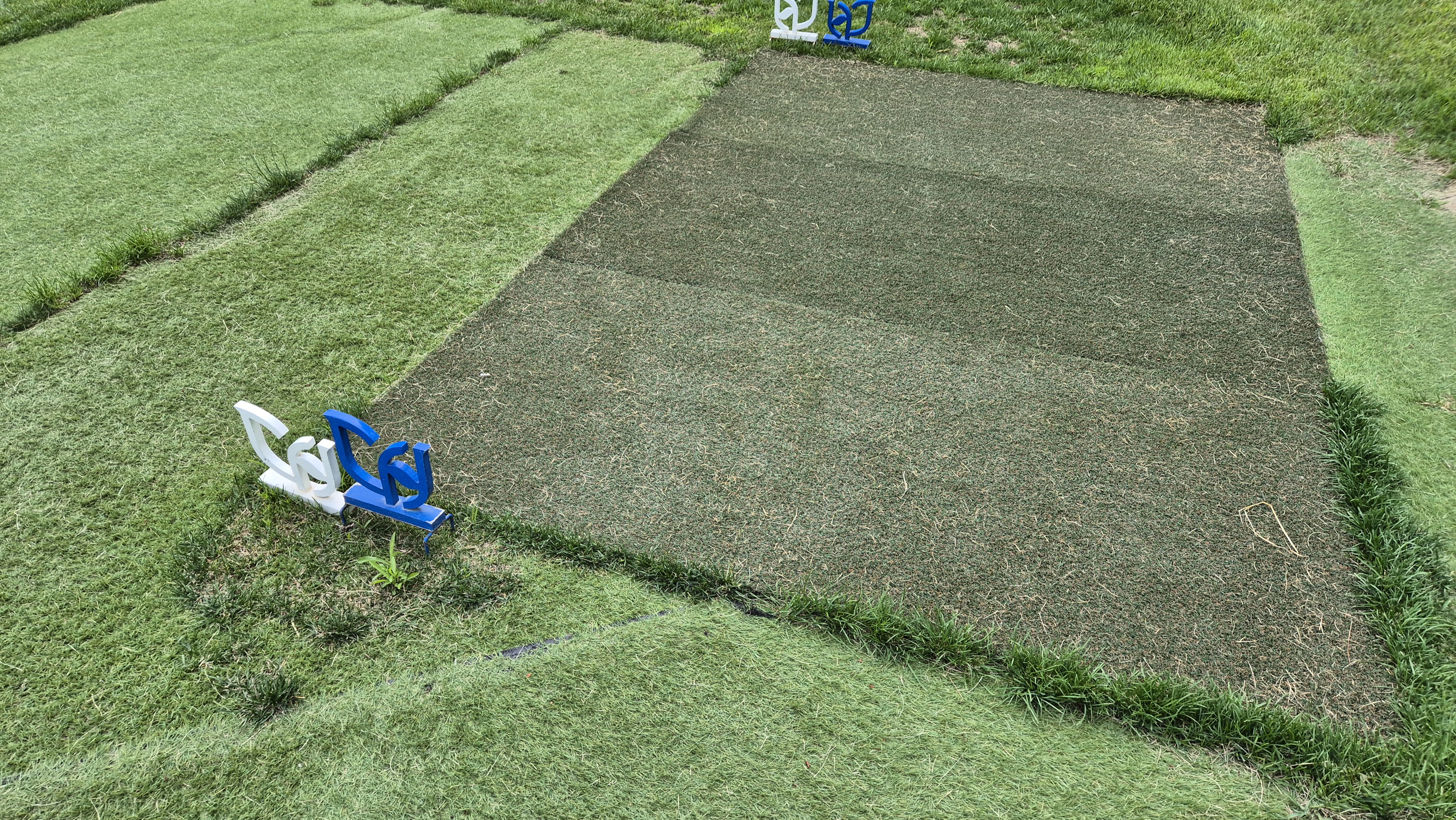 파인리즈cc 라운드 후기