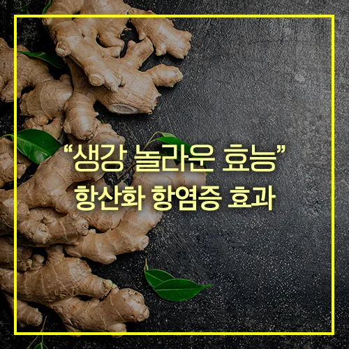 생강 효능 항산화 항염증 효과 썸네일