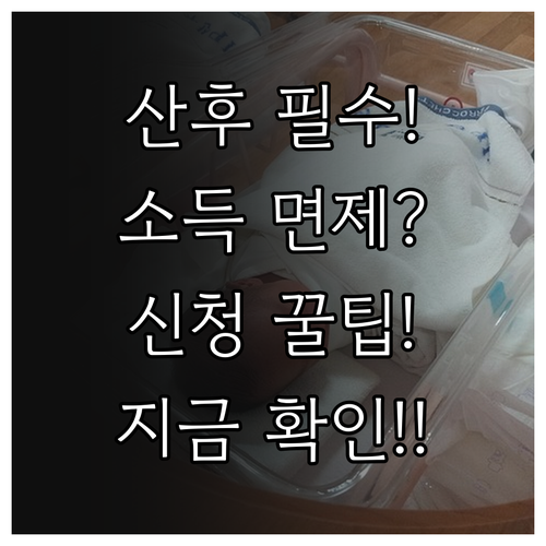 산후도우미 바우처 소득 기준 면제 대..
