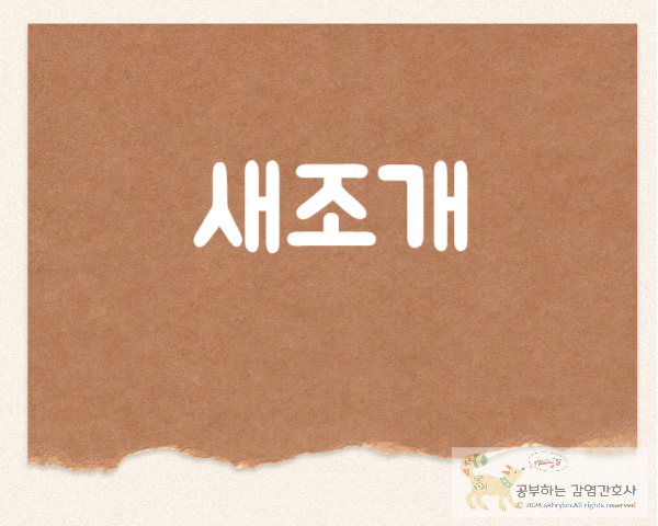 냉장보관 기한과 보관법 정리