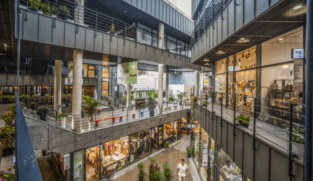 청와대 야간관람