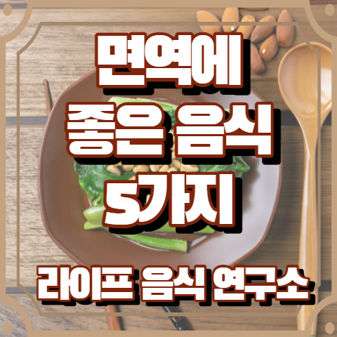 면역에 좋은 음식 5가지