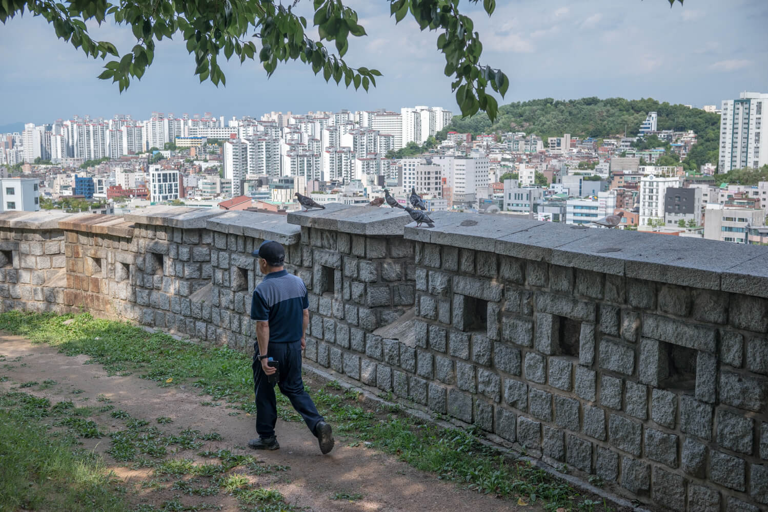 서울여행 추천 코스 걷기 좋은 길 다산 성곽길