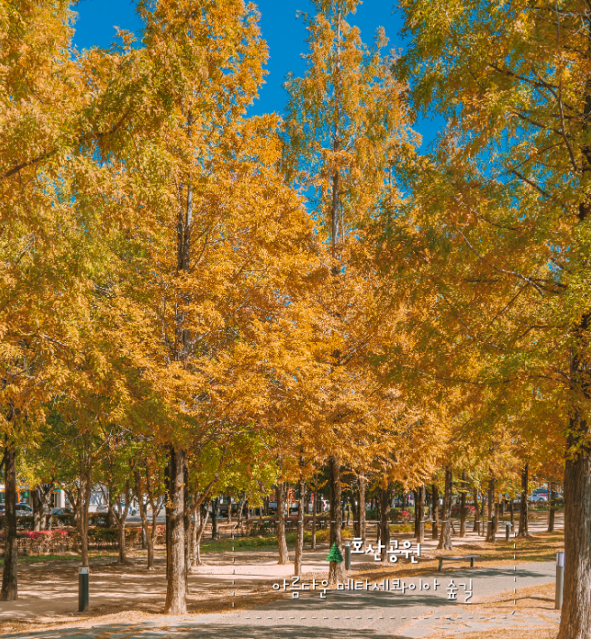 호산공원1
