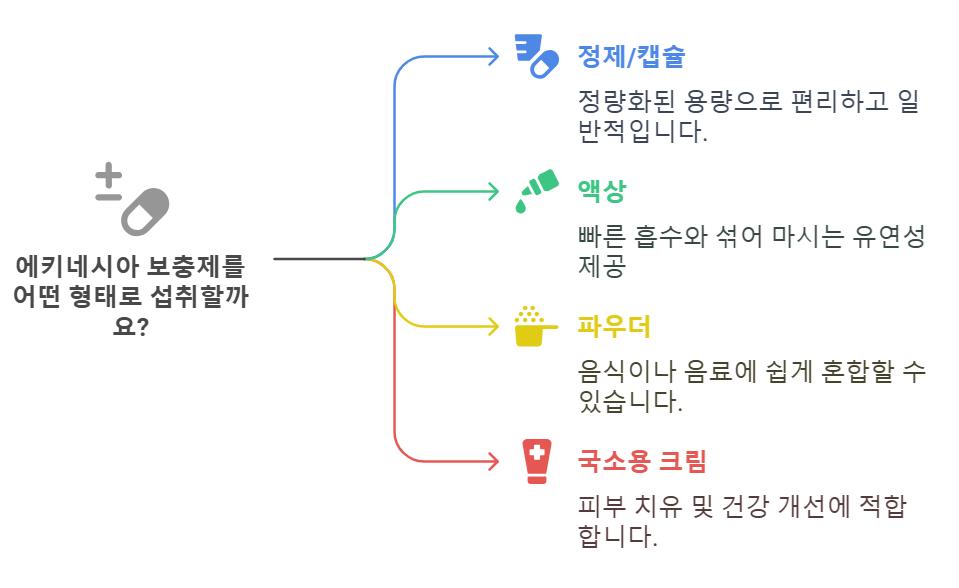 에키네시아 영양제(보충제) 효능