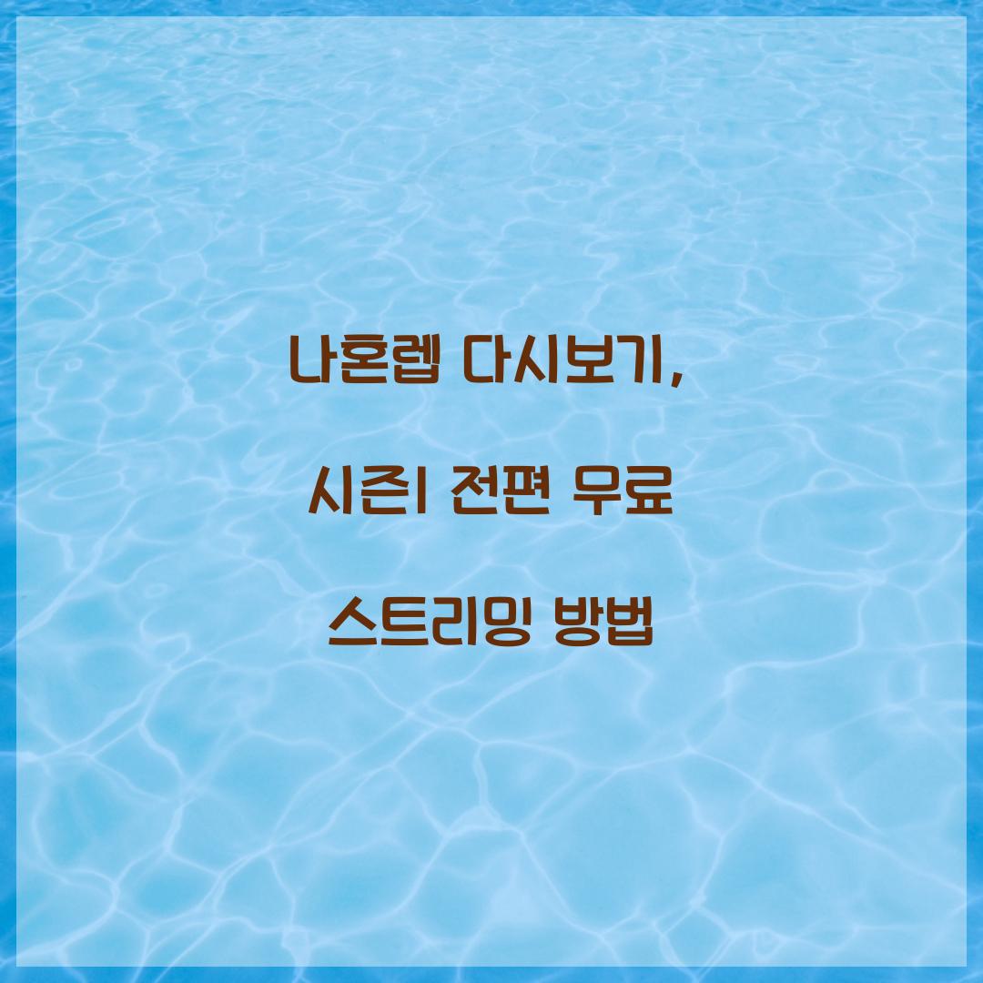 나혼렙 다시보기
