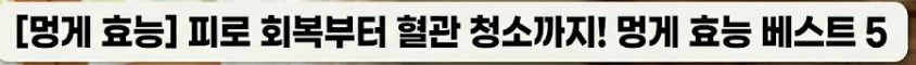 멍게 효능