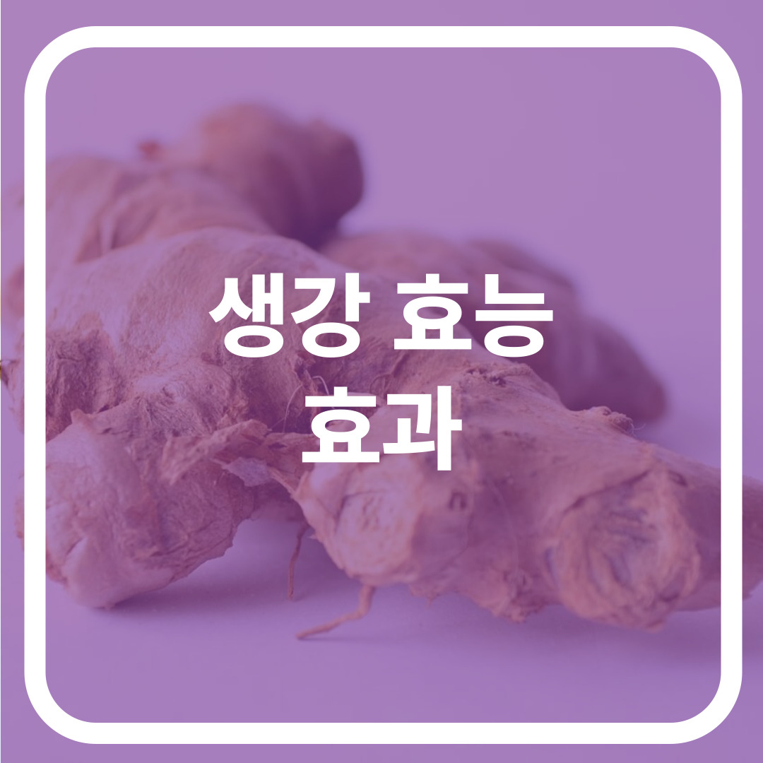 생강 효능 효과
