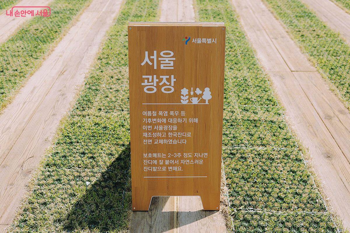 서울광장의 어제와 오늘