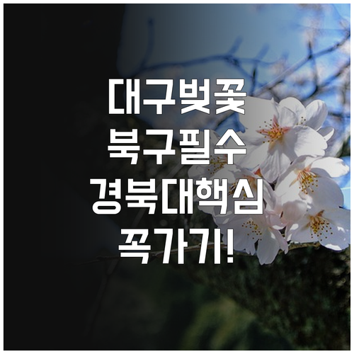 경북대 침산공원 꽃보라동산 대구 북구..