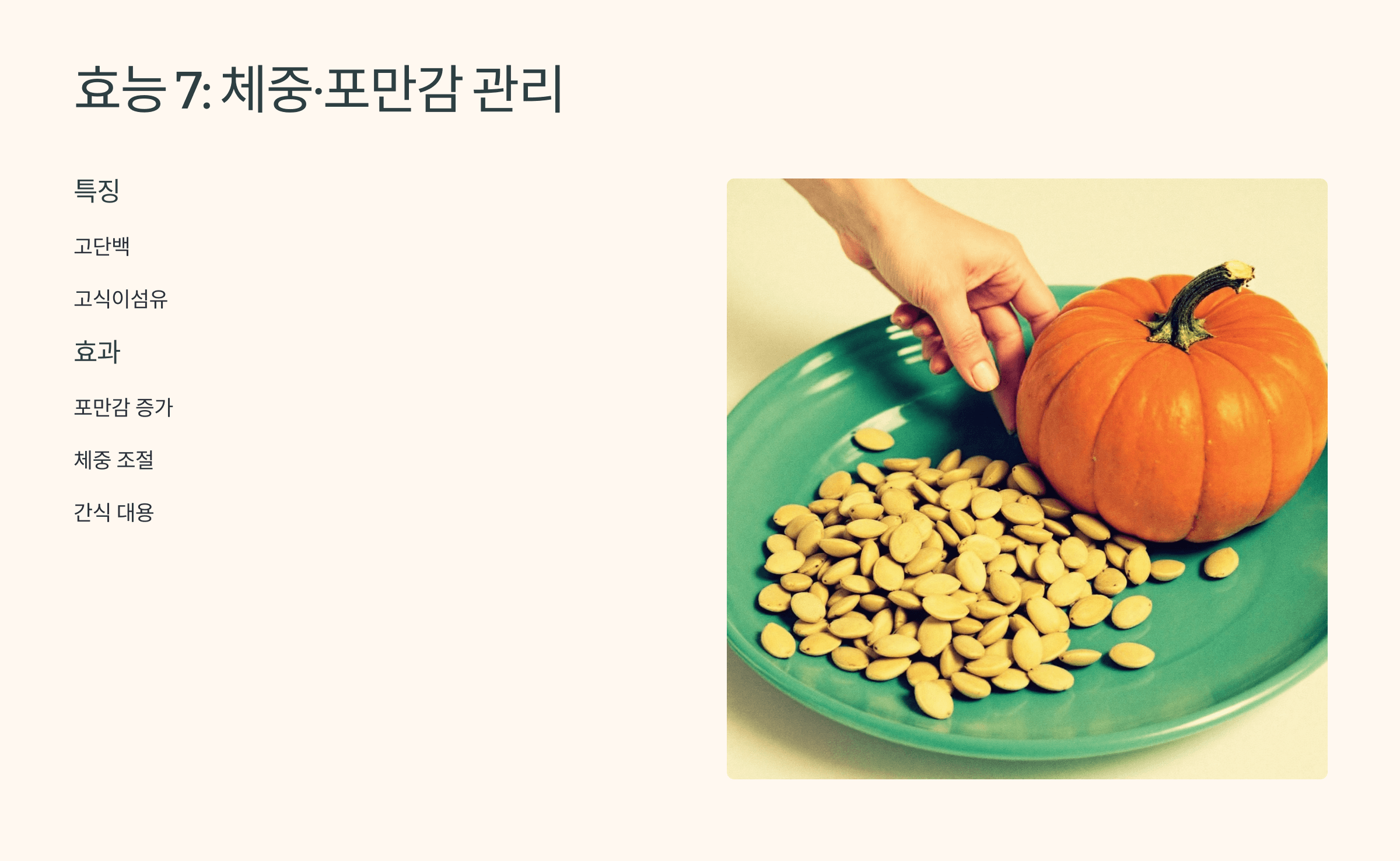 호박씨 사진입니다.