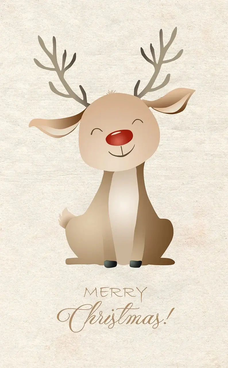 크리스마스 이미지와 뜻&amp;#44; 유래 총정리