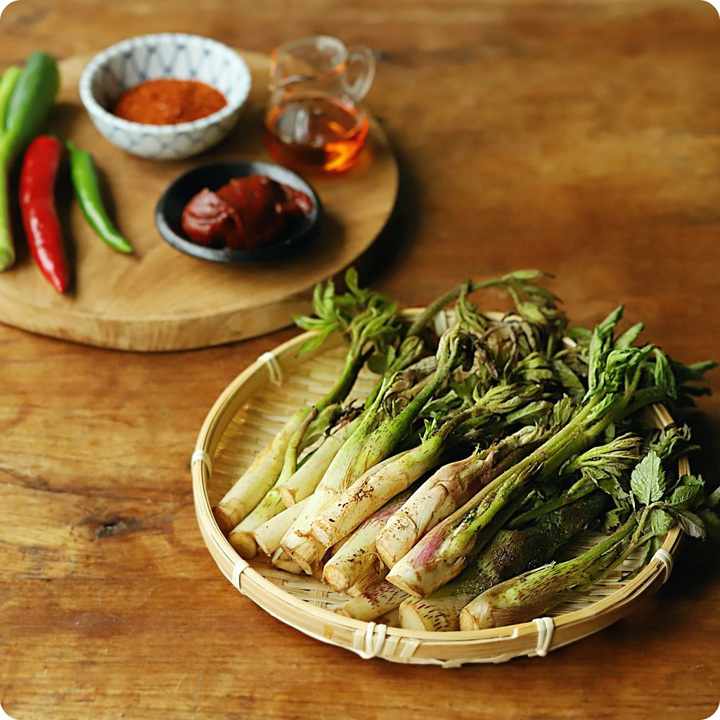 두릅-장아찌-황금레시피