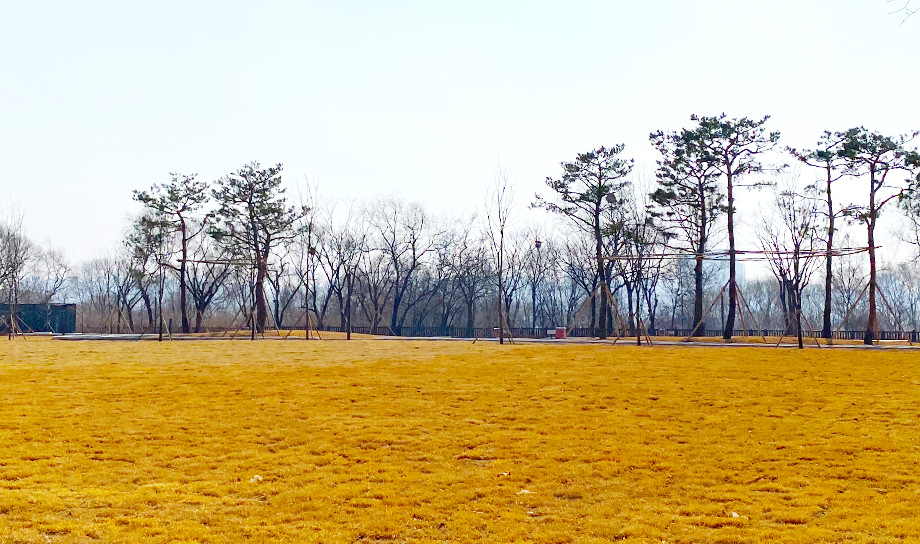 난지캠핑장프리캠프존