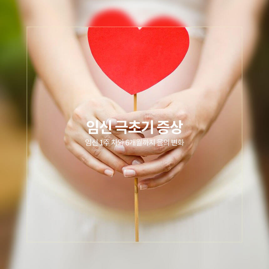 “임신-극초기-증상-몸의-변화”
