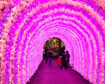 아침고요수목원 오색별빛정원전_17