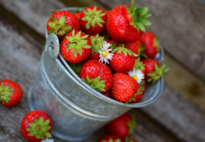 마늘과 함께 먹으면 좋은 과일
