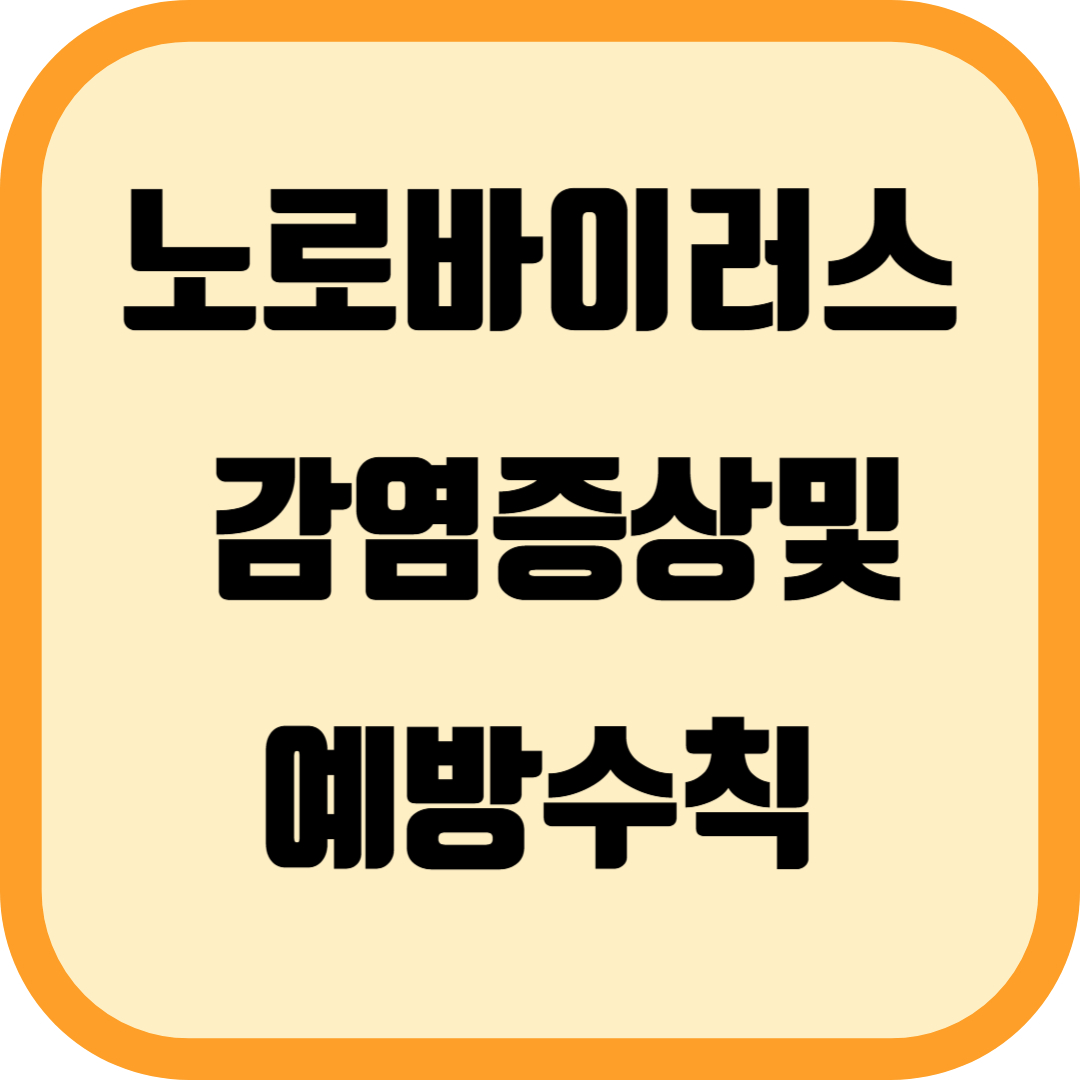 노로바이러스의 감염증상및예방수칙