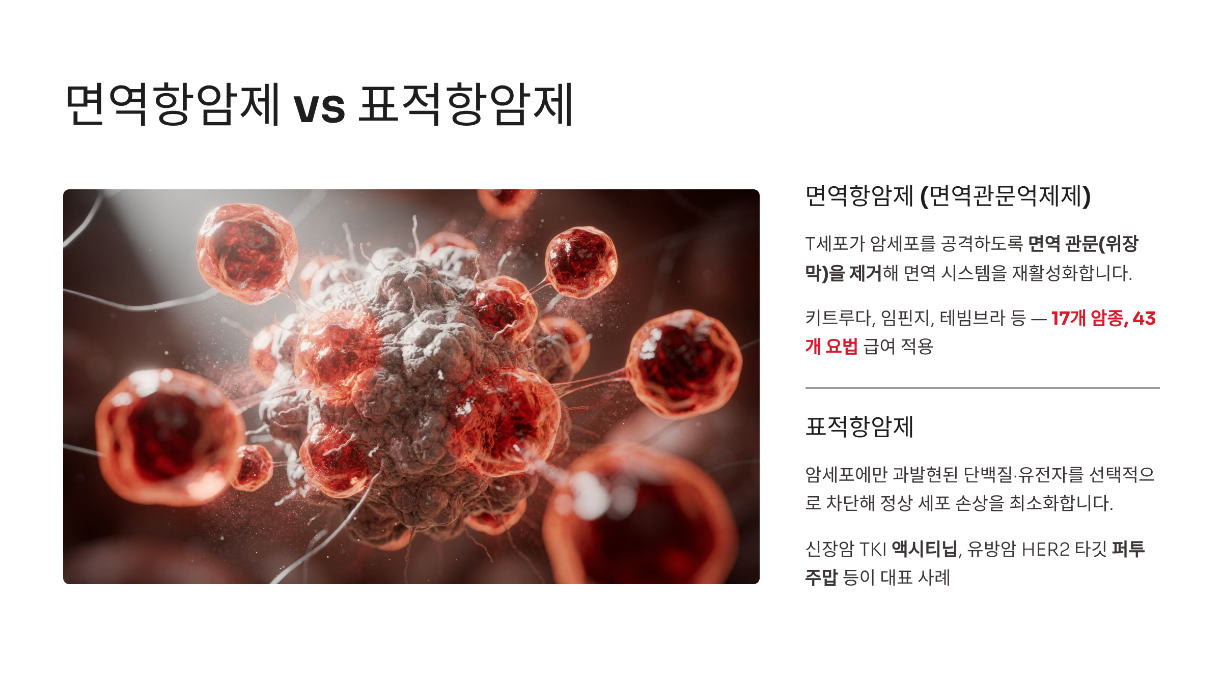 면역항암제: 스스로 치유하는 몸의 힘
면역항암제, 특히 면역관문억제제는 암세포를 직접 독성 물질로 공격하던 기존 방식과는 근본적으로 다릅니다.



우리 몸의 면역세포인 T세포가 암세포를 적군으로 인식하고 공격할 수 있도록 돕는 역할을 합니다.

암세포는 교묘하게 면역세포의 공격을 피하기 위해 '면역 관문'이라는 위장막을 사용하는데,

면역항암제는 이 위장막을 제거하여 면역 시스템을 재활성화합니다.



대표적인 약제로는 키트루다, 임핀지, 테빔브라 등이 있으며,

현재 위암, 간암, 소세포폐암 등 17개 주요 암종에 걸쳐 43개 요법이 급여 혜택을 받고 있습니다.

표적항암제: 암세포만 골라내는 정밀 타격
표적항암제는 암세포에만 과발현된 특정 단백질이나 유전자 변이를 선택적으로 차단합니다.

이는 정상 세포의 손상을 최소화하면서 암의 성장을 효율적으로 억제하는 기술입니다.

예를 들어 신장암에서 혈관 생성을 억제하는 TKI(타이로신 키나제 억제제) 계열의 액시티닙이나,

유방암의 HER2 단백질을 타격하는 퍼투주맙 등이 대표적인 정밀 타격 사례입니다.