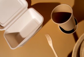 일회용_포장_플라스틱_용기