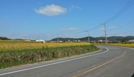 제주 렌트카 주의사항