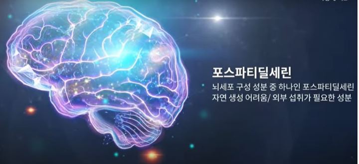 포스파티딜세린-효능