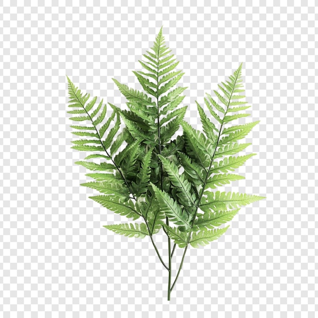 etc-image-16