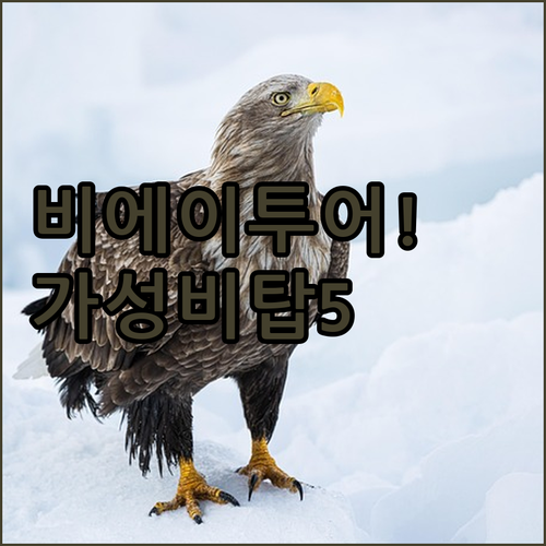 비에이 투어하기 좋은 아사히카와 가성..