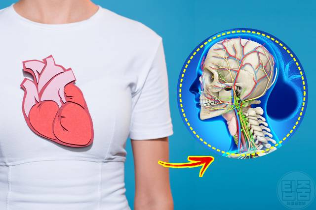 왼쪽 팔저림 심장마비 전조증상,팔이 저린 이유