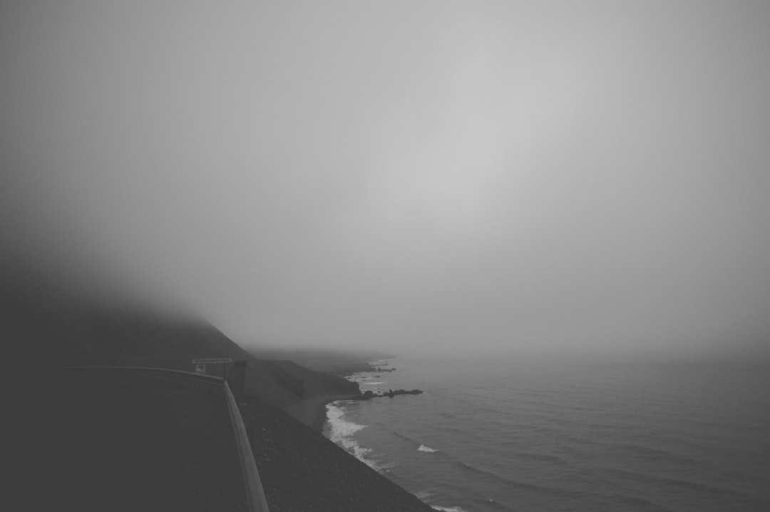 Revisit