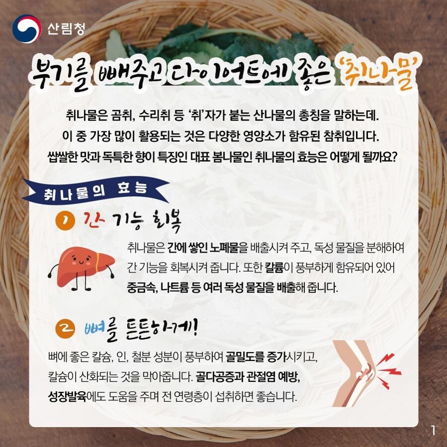 취나물의 효능 출처 산림청