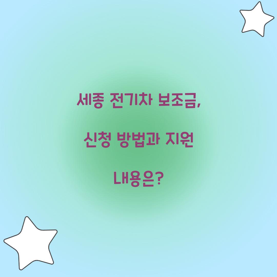 세종 전기차 보조금