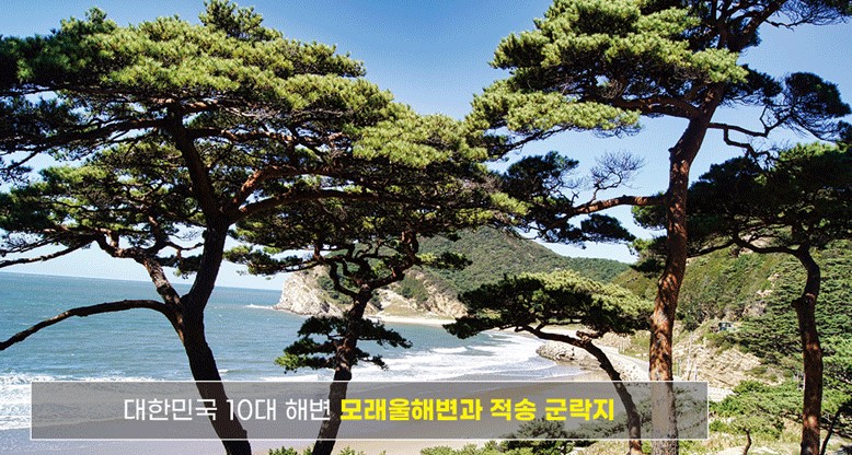 대청도