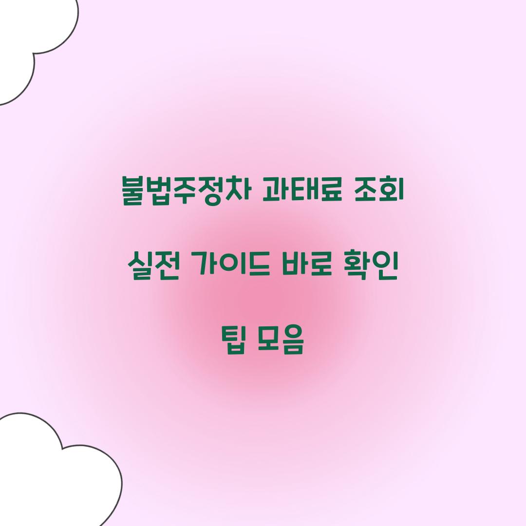 불법주정차 과태료 조회
