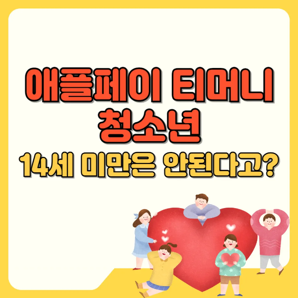 애플페이 티머니 청소년 14세 미만은 안된다고 썸네일 텍스트