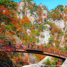 오색약수 설악산 단풍 