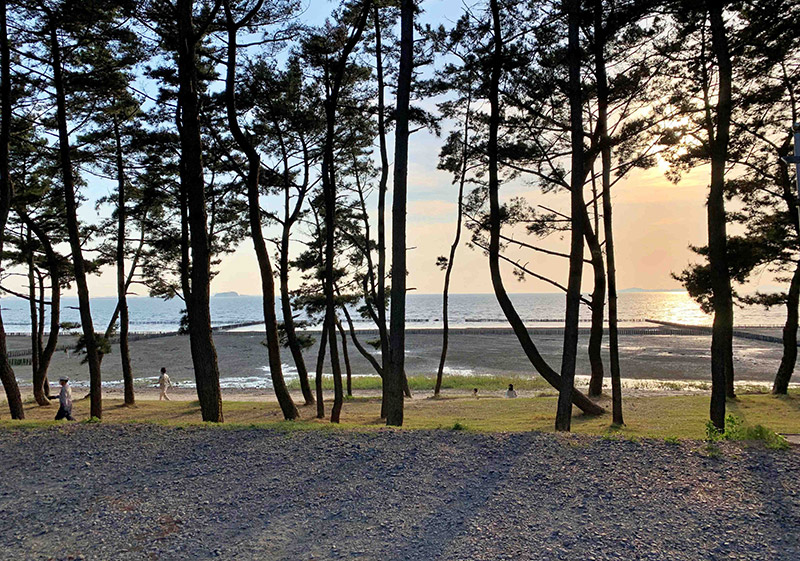 충남 서천 장항오토캠핑장 소개