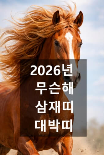 2026년 삼재띠